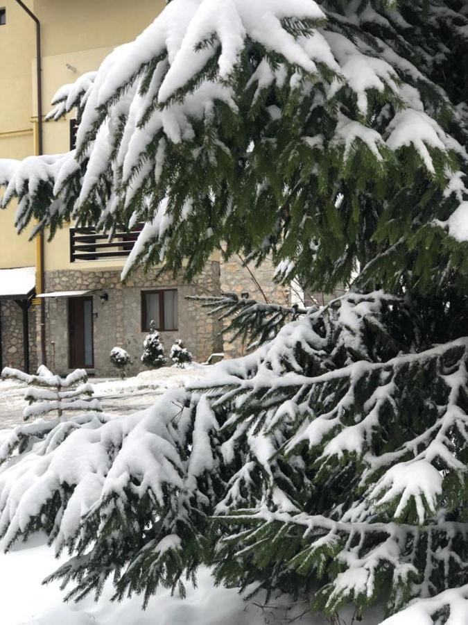 Apartament Nicolle Apartment Poiana Brasov Ngoại thất bức ảnh