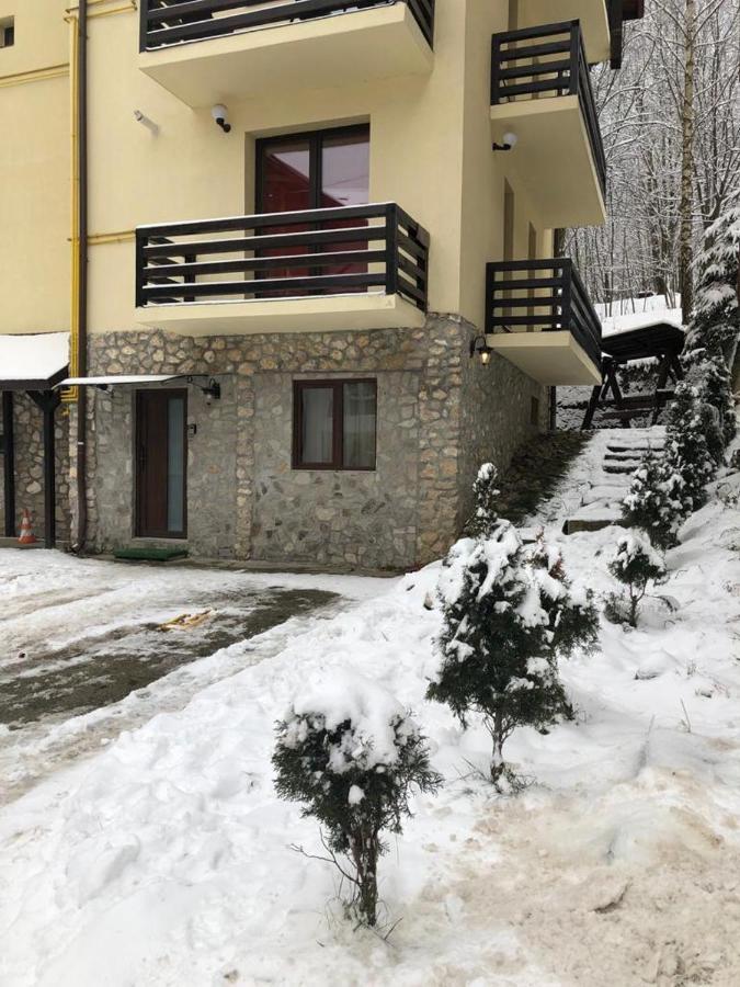Apartament Nicolle Apartment Poiana Brasov Ngoại thất bức ảnh